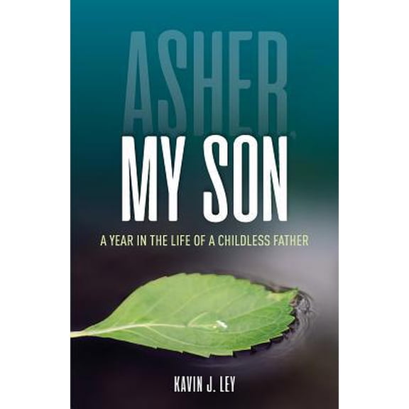 Pre-Owned Asher, My Son: A Year in the Life of a Childless Father (Paperback) 1986948161 9781986948166