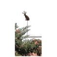 thumbnail image 3 of Village Wrought Iron RGS-267 Jackalope Rusted Garden Stake, 3 of 4