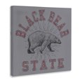 thumbnail image 3 of Stupell Industries Shabby Chic Canvas Art, 17 x 17, by Spirit Animals/Life Is High, 3 of 8