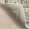 thumbnail image 3 of nuLOOM Cady Machine Washable Transitional Area Rug, 8' x 10', Light Brown, 3 of 8