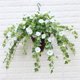 thumbnail image 2 of Cesta colgante Artificial de seda falsa flor de la gloria de la mañana Matsuzay Decoración del hogar 66cm blanco, 2 of 6