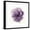Black Frame, variant on Art.com Watery Plum Bloom 2 Art Print by Sandra Smith, 16" x 16"