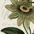 thumbnail image 2 of Botanical Panel I by Stephanie Monahan Wrapped Canvas Art Print, 2 of 2