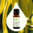 thumbnail image 3 of Plant Therapy Ylang Ylang Extra Essential Oil 10 mL (1/3 oz) 100% Pure, Natural Aromatherapy, 3 of 8