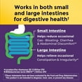 thumbnail image 4 of Nature Made Probiotics Extra Strength 15 Billion CFU from Live Cultures Capsules, 30 Count, 4 of 11