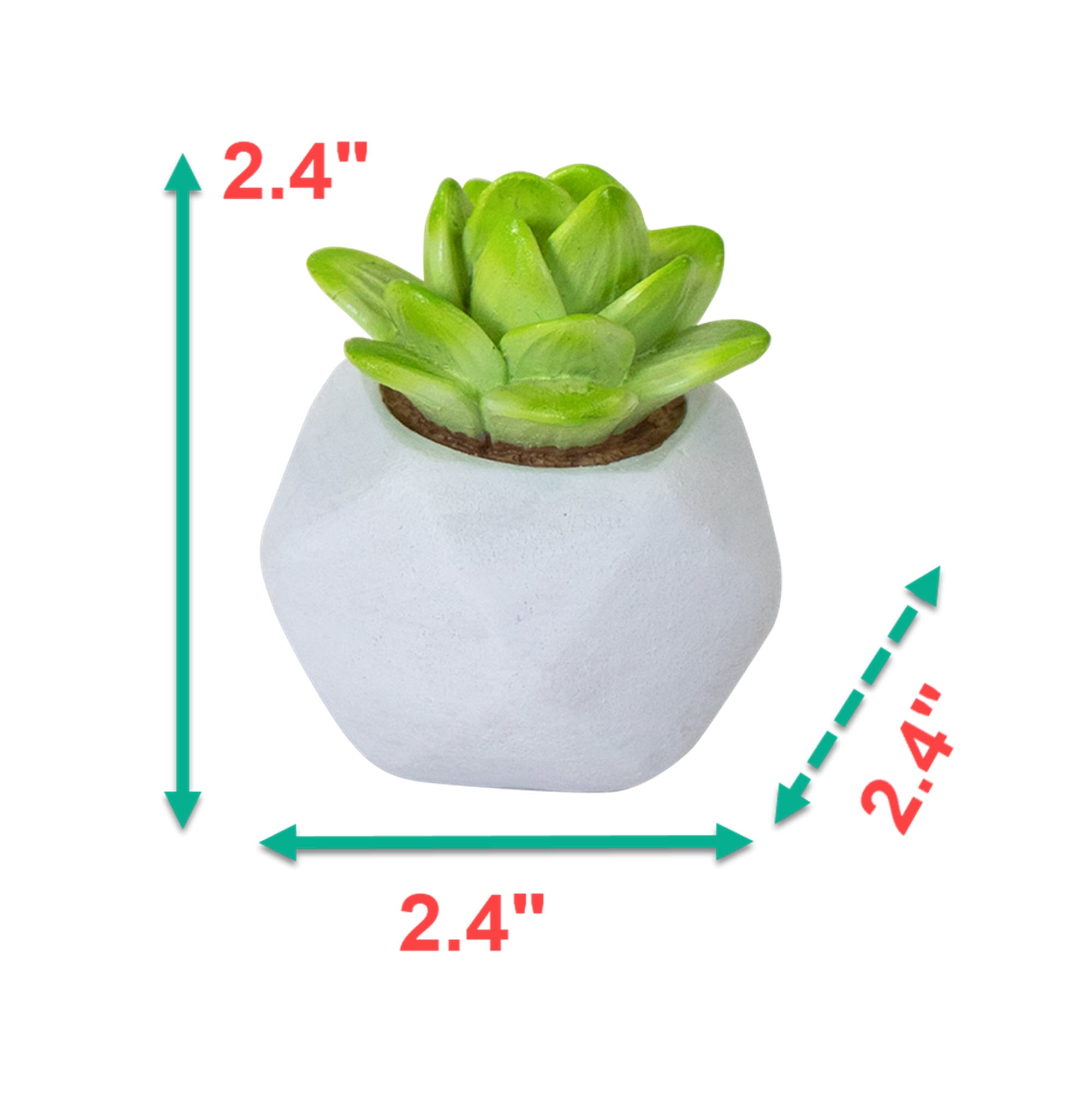 Succulent Decor Aquarium Resin Decorations for Fish Tanks - Size Small - Selection Will Vary