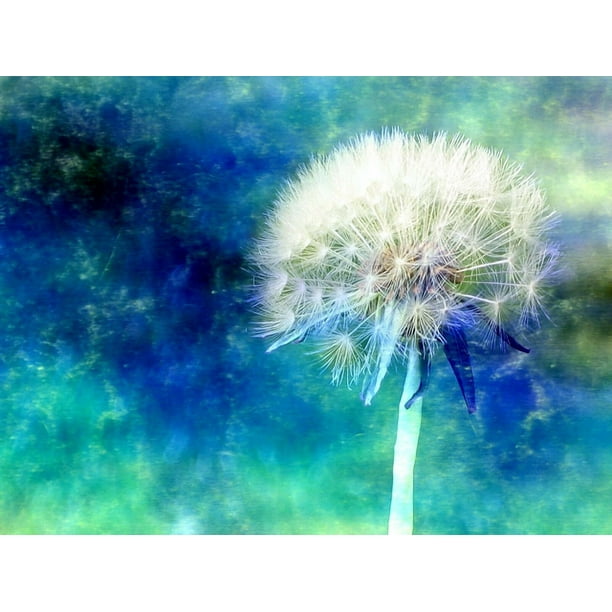 Dandelion CANVAS OR WALL ART PRINT