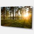 thumbnail image 2 of Bright Sunlight in Dense Forest - Large Landscape Canvas Art, 2 of 3