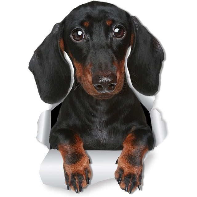 Lindos adhesivos de pared para perro salchicha Dachshund – Paquete de 2 – Calcomanía para inodoro de perro Wiener – Adhesivo 3D para ventana y parachoques de coche para perro – Regalos empaquetados al por menor para los amantes del perro salchicha Sailing Electrónica