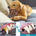 thumbnail image 4 of Juguetes para perros NEZIN para masticadores agresivos, indestructibles, paquete de 3, 4 of 7