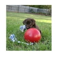 thumbnail image 4 of Floating Interactive Rope Dog Horse Toys Romp and Roll Dog Water Tug (Medium - Blue), 4 of 9