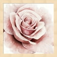 thumbnail image 2 of Metaverse R947772-0120000-AEAAAACAN4 13.25 x 13.25 in. Pink Rose I Framed Wall Art by Grace Popp, 2 of 2