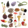 thumbnail image 3 of Simulation Montessori Around The World Building ,Mountain Plant Vegetable Fungi Mushroom Matsutake Model Figures Collection Toys, 3 of 5