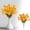 C, variant on Clearance Under $1 Artificial Eucalyptus Pick Autumn Eucalyptus Spray Abs For Living Room Vase Filler Front Porch Pot (A) (1Pc)