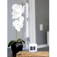 thumbnail image 4 of Candle Lulu Candles The Hamptons Fresh Citrus & Ocean Mist 265 ml, 4 of 7