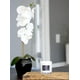 thumbnail image 4 of Candle Lulu Candles The Hamptons Fresh Citrus & Ocean Mist 265 ml, 4 of 7
