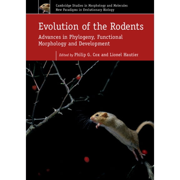 Cambridge Studies in Morphology and Mole Evolution of the Rodents: Volume 5: Advances in Phylogeny, Functional Morphology and Development, Book 5, (Hardcover)