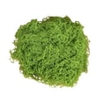 thumbnail image 1 of Musgo verde artificial de 30/100 g para manualidades, plantas de interior, jardines de hadas, centros de mesa, peceras, micropaisajes, musgo artificial decorativo., 1 of 8