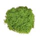 thumbnail image 1 of Musgo verde artificial de 30/100 g para manualidades, plantas de interior, jardines de hadas, centros de mesa, peceras, micropaisajes, musgo artificial decorativo., 1 of 8