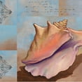 thumbnail image 2 of Paul Brent 26x26 White Modern Wood Framed Wall Art Titled - Sanibel Conch, 2 of 5