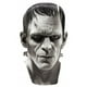 Costumes For All Occasions Ru67135 Masque de Frankenstein – image 1 sur 1