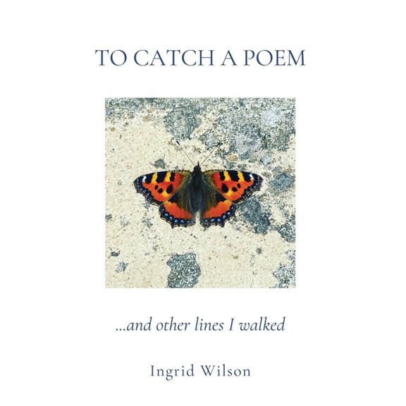 To Catch a Poem, (Paperback)