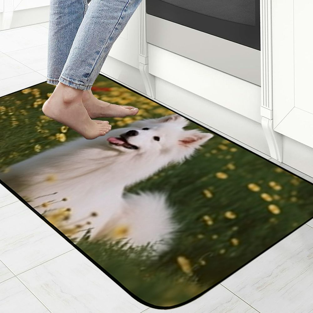 Qinduosi Decorative Door Mat, Door Mat with Non-Slip Rubber Backing, Easy Cleaning, Traps Dirt, for Entry, Patio, Garage 19.68*47.24 in