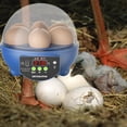 thumbnail image 4 of de huevos USB Volteador de huevos automático Control de temperatura Pantalla Azul Automático jinwen Incubadora automática de huevos, 4 of 8