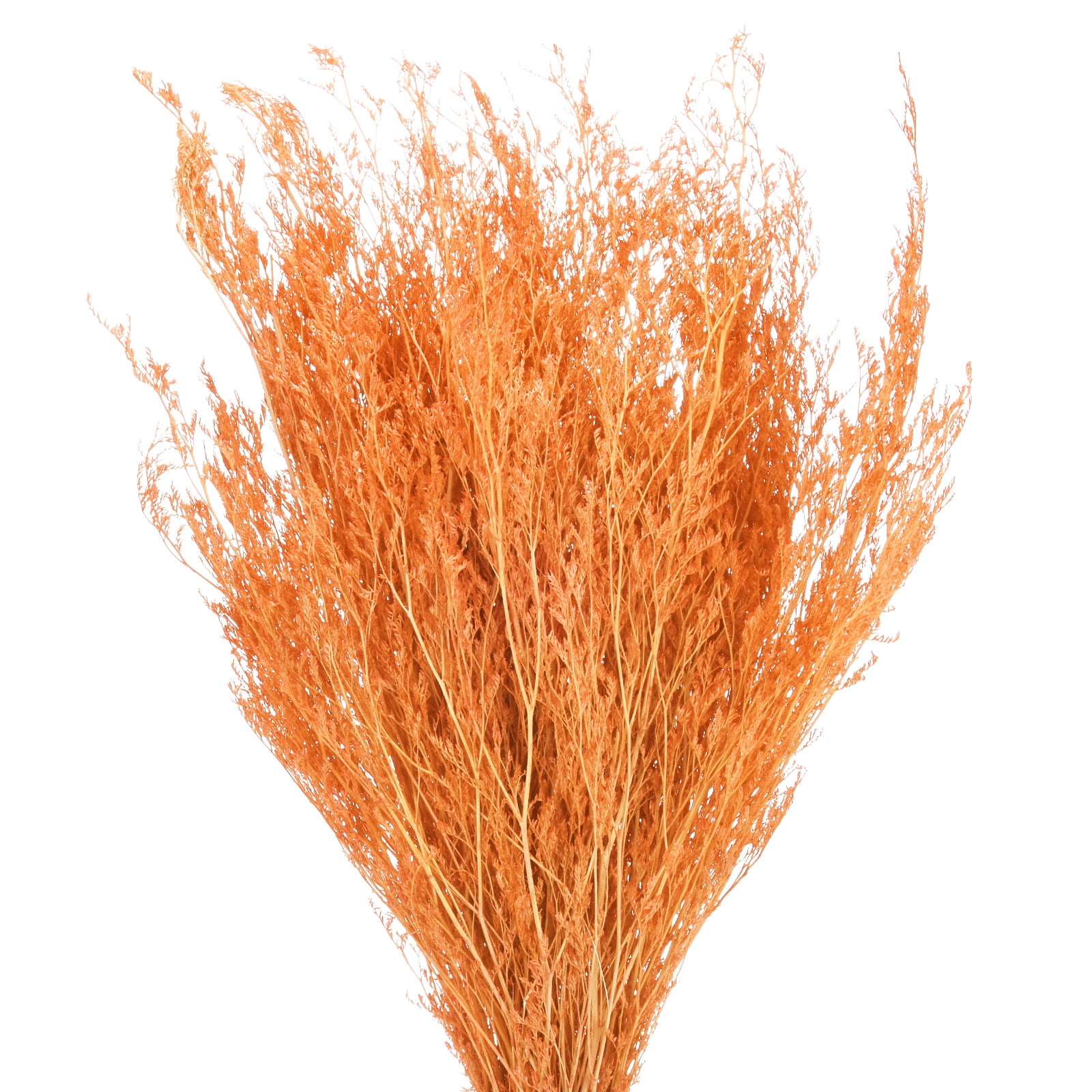 Uxcell Dried Flowers Bouquet 17" Dry Limonium Flower Bundle [Orange, 120g]