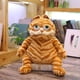 thumbnail image 2 of Regalo de cumpleaños de peluche Garfield de 30 cm -- 30 cm oso de fresa Electrónica, 2 of 5