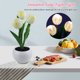 thumbnail image 5 of Lámpara de mesa de tulipán LED Luz de escritorio de cabecera segura para decoración de cafetería (D) Likrtyny Para estrenar, 5 of 8