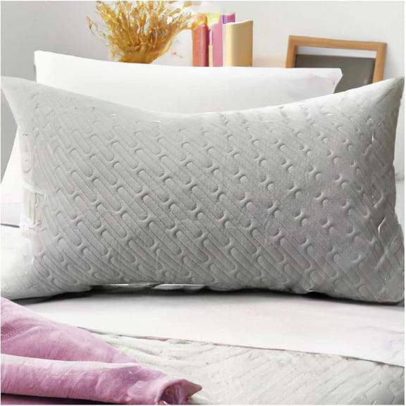 Daily Delight Visco-Elastic Memory Foam Pillows, Set of 2