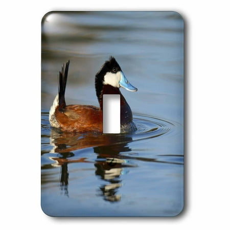 3dRose Male Ruddy duck, Henderson, Nevada - US29 MPR0067 - Maresa Pryor, Single Toggle Switch