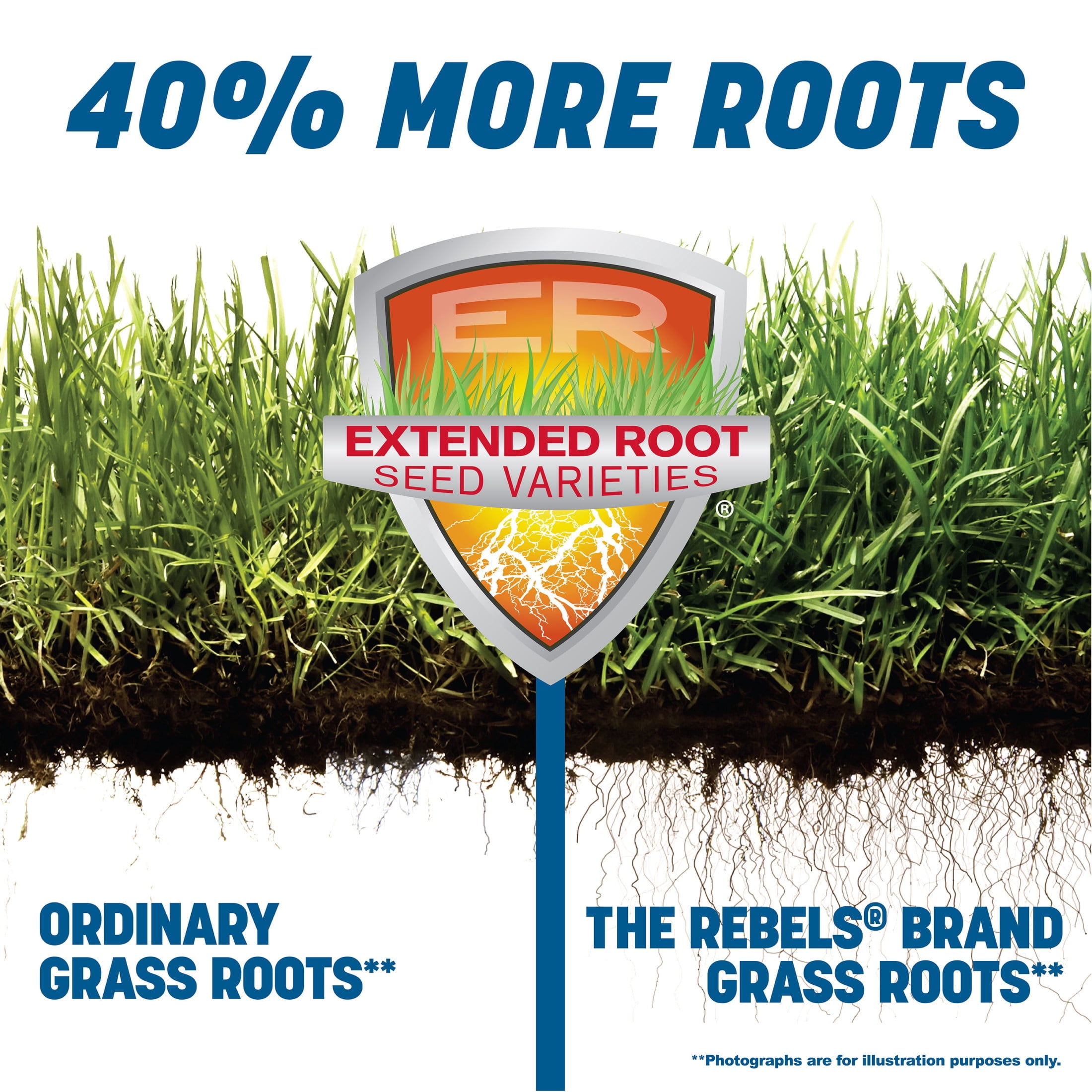 Pennington The Rebels Sun and Shade Grass Seed Mix 40 Pounds