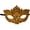 Golden, variant on Jiibva Golden Rhinestone Venetian Masquerade Half Face Eye Mask Halloween Costume