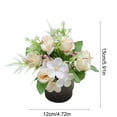 thumbnail image 3 of HCBY Artificial Potted Plant, Real Touch Rose & Eucalyptus Arrangement in Pot for Home Office Desk Decor, Faux Floral Centerpiece for Table, Wedding, Gift​idea(Beige,5.91"x4.72"), 3 of 6