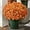 Orange-f, variant on Funsdecor Artificial Mums for Outdoors, Artificial Sunset Mums, Fall Eucalyptus Flowers - UV Resistant, Waterproof, No Fade or Wilt, Mum for Outdoors, Full, Vibrant, Rich in Color (10, Orange-F)