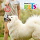 thumbnail image 2 of Juguete Eslabón Ch Chew Fancy Pets masticable balón de futbol americano, 2 of 2
