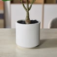 thumbnail image 2 of DR.Planzen Artificial Fiddle Leaf Fig Tree, 25.6 Inch Tall Lifelike Fake Plant in White Pot, Realistic Indoor Ficus Lyrata for Home Office Living Room Decor, 2 of 8
