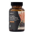 thumbnail image 1 of Hongo Cordyceps 60 cápsulas veganas Quenut Adaptógenos Quenut QUENUTCORDYCEPS, 1 of 5