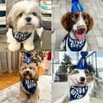thumbnail image 5 of Pet Dog Flag Banner Cake Insert Birthday Hat - blue 01, 5 of 5