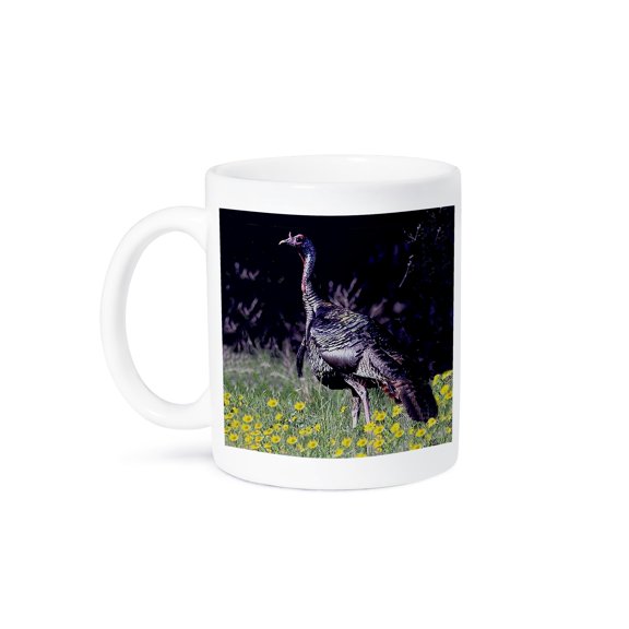 3dRose, Wild Turkey Gobbler, 11oz Mug
