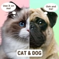 thumbnail image 4 of CatFresh Oatmeal Baking Soda Spray - Waterless Cat Shampoo & Conditioner for Natural Dry Relief. Eliminate Pet Dander, Easy Cat Bath Essential. Kitten & Cat Grooming Supplies (17oz), 4 of 4