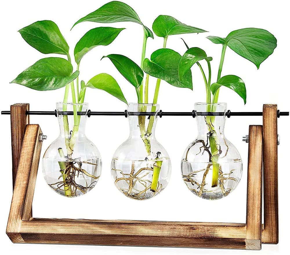 Plant Terrarium with Wooden Stand, Air Planter Bulb Glass Vase Metal