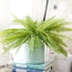 thumbnail image 5 of Injueey Hoja de helecho artificial Fiesta de bodas Planta de helecho decorativa Seda para el hogar Plantas Artificiales, 5 of 6