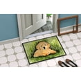 thumbnail image 4 of Carolines Treasures SS8476MAT Paillasson Intérieur Extérieur 18 x 27 Po. Golden Retriever, 4 of 4