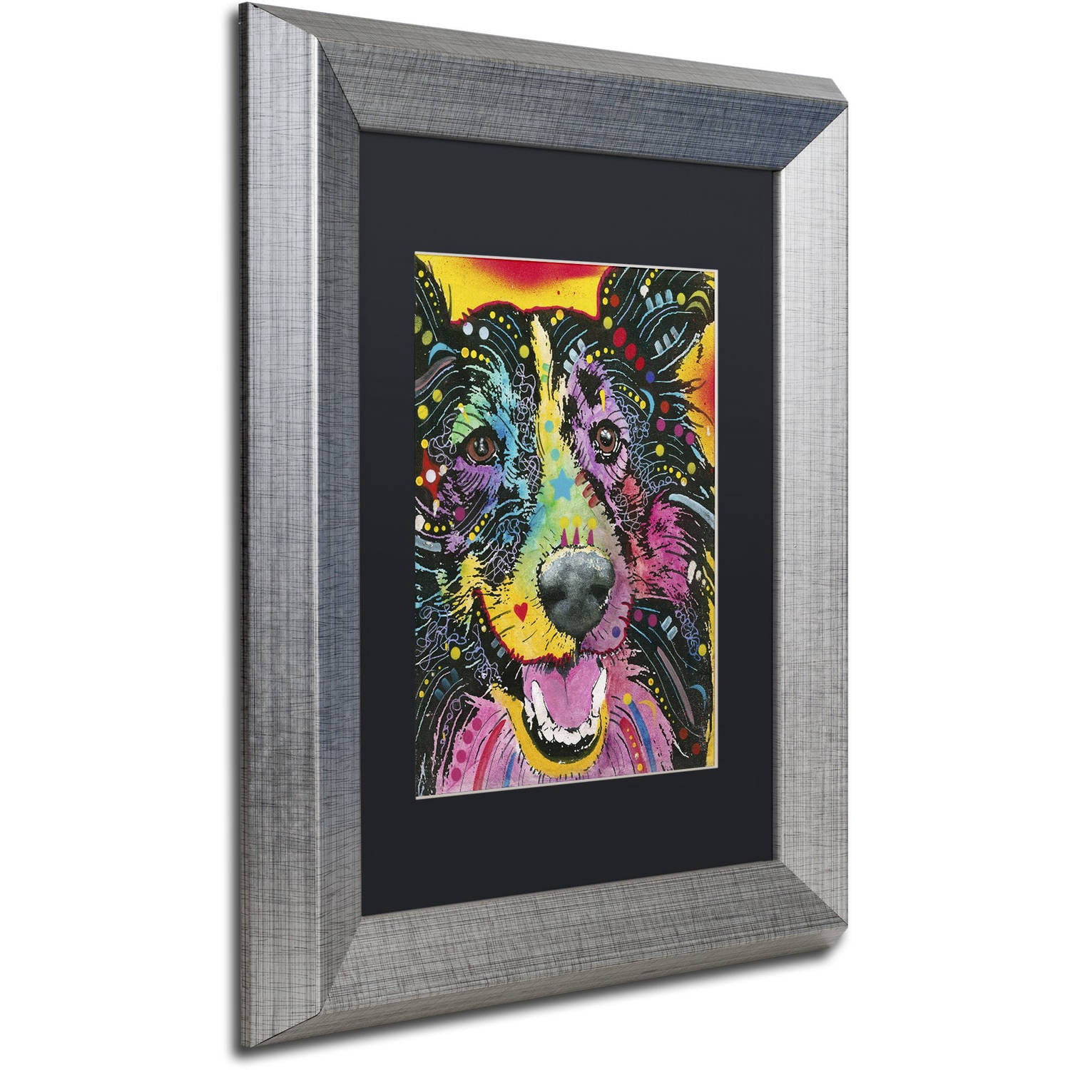 Trademark Fine Art "Smiling Collie" Canvas Art by Dean Russo, Black Matte, Silver Frame