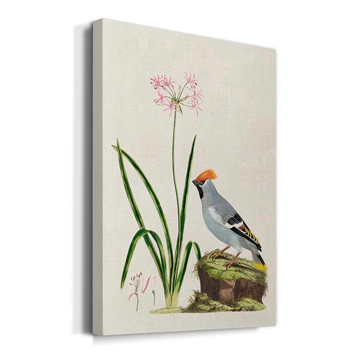 Bird in Habitat II Premium Gallery Wrapped Canvas - Ready to Hang