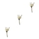 thumbnail image 3 of Cateissary Durabilidad y encanto duraderos en ramo de flores secas naturales flor seca en relieve elegante HS-11, 3 of 6