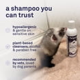 thumbnail image 4 of Petpost Ferret Shampoo - Natural Deodorizing Formula for Ferrets & Small Animals - Safflower Oil Cleanses Without Drying Skin - 8 oz, 4 of 8